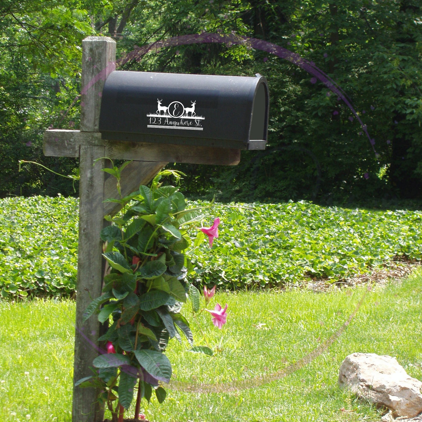 Deer Mailbox Decal